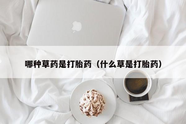 哪种草药是打胎药（什么草是打胎药）