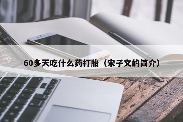60多天吃什么药打胎（宋子文的简介）